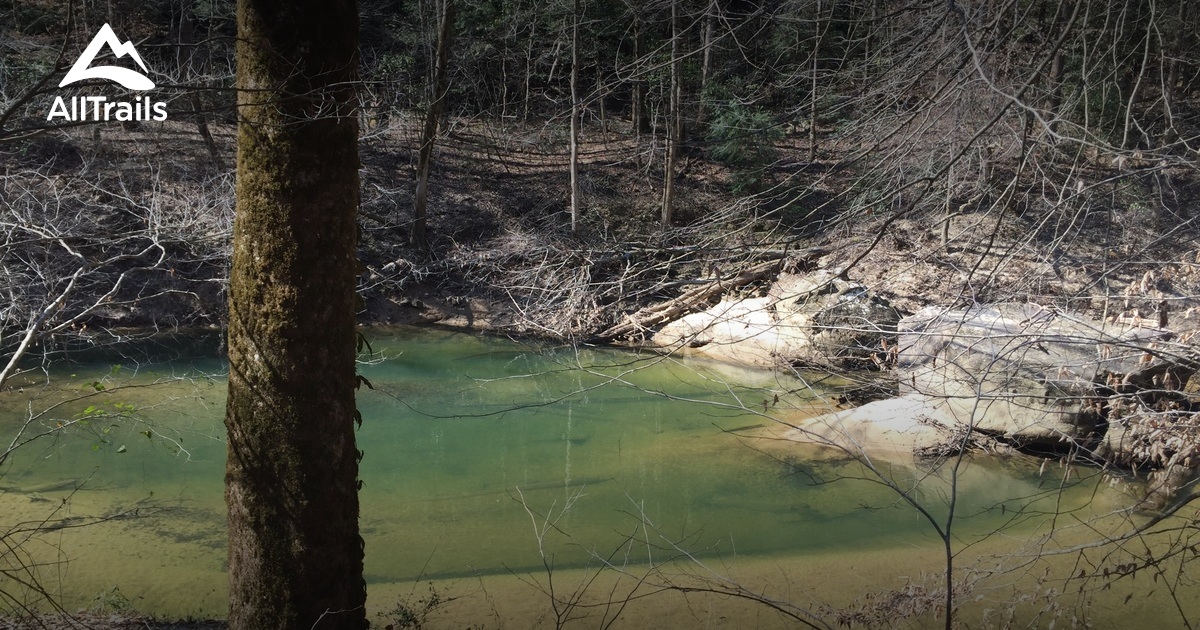 Best Trails in Sipsey Wilderness Alabama AllTrails