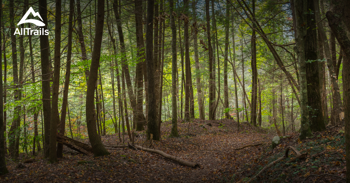 Best Trails in Cohutta Wilderness AllTrails