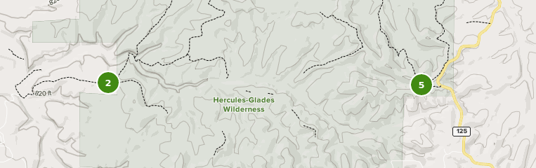 Best Trails in Hercules-Glades Wilderness - Missouri | AllTrails