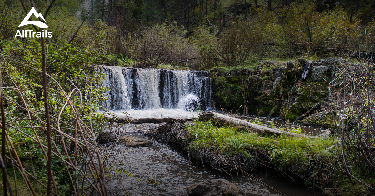 Best Trails in Bear Wallow Wilderness - Arizona | AllTrails