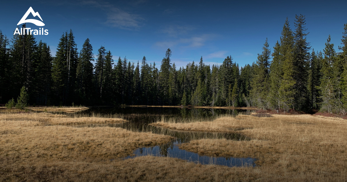 Best hikes and trails in Trapper Creek Wilderness AllTrails