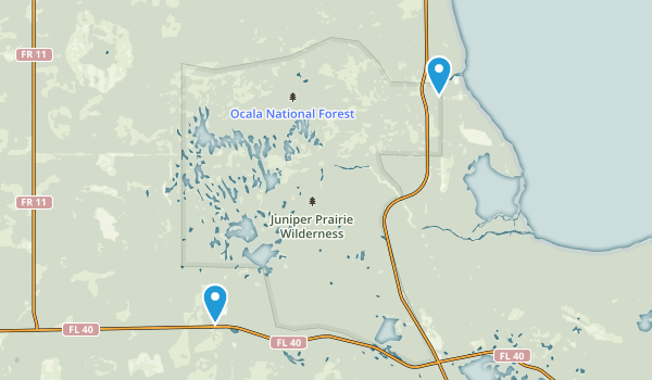 Best Trails in Juniper Prairie - Parks Us Florida Juniper Prairie Wilderness 10151200 20180111090703 600x350 1