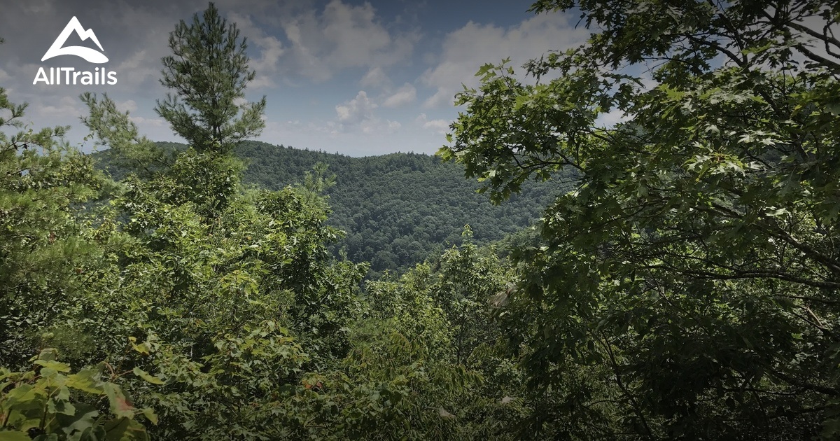 Best Trails in Big Frog Wilderness - Georgia | AllTrails