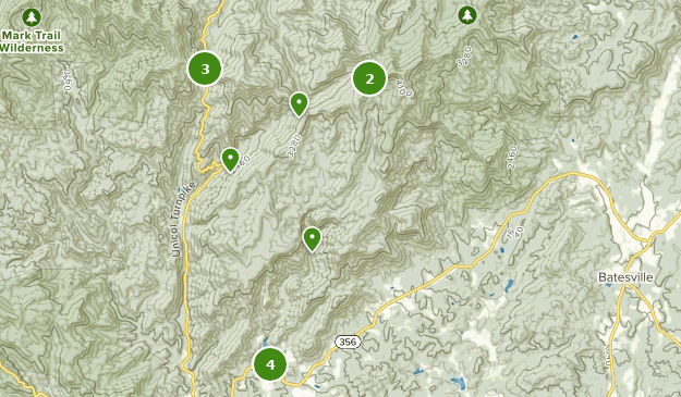 Best Trails in Tray Mountain Wilderness - Georgia | AllTrails