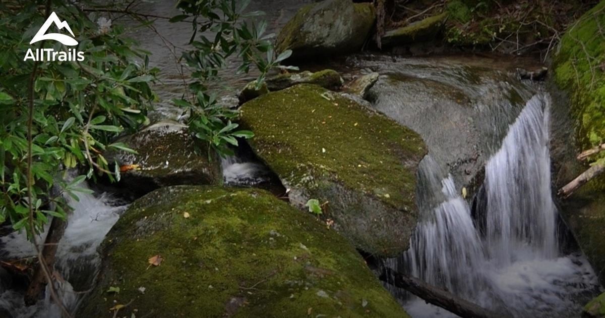 Best Trails in Citico Creek Wilderness - Tennessee | AllTrails