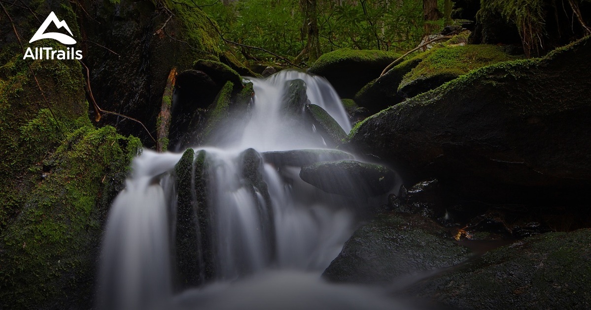 10 Best hikes and trails in Citico Creek Wilderness | AllTrails