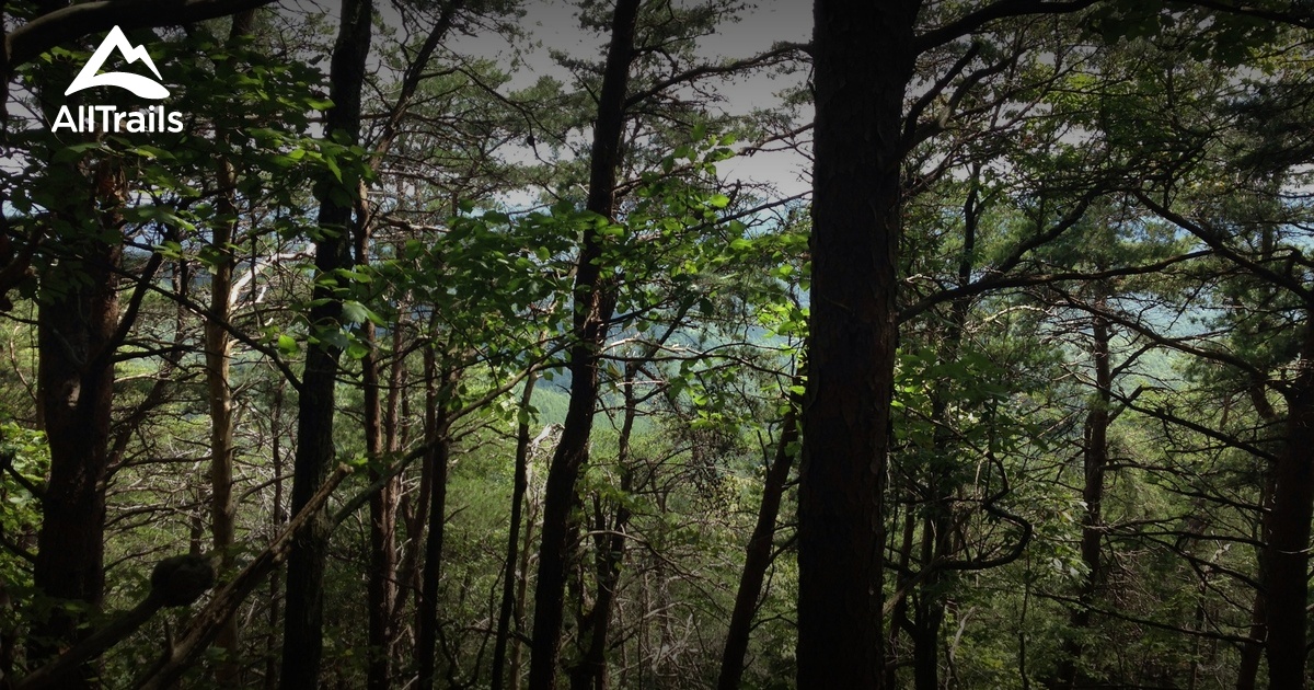 Best hikes and trails in Dugger Mountain Wilderness AllTrails