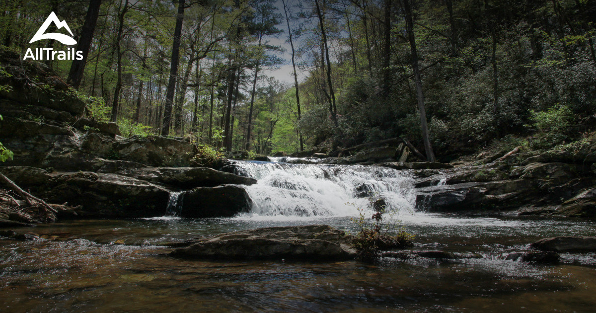 Best Trails in Cheaha Wilderness Alabama 120 Photos & 102 Reviews