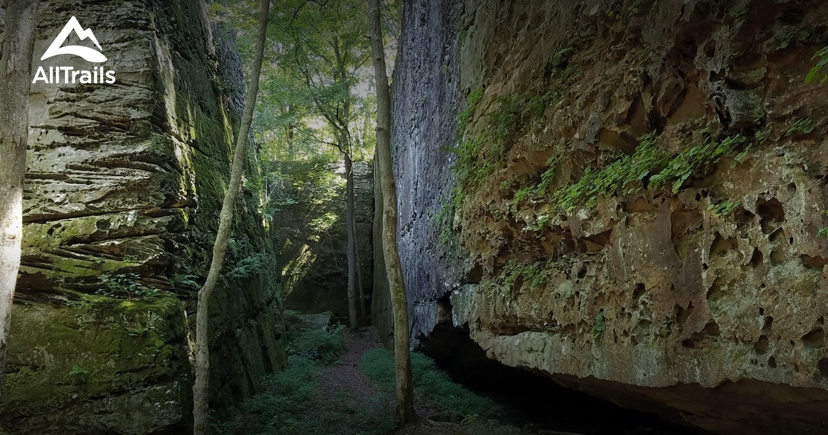 Best Trails in Panther Den Wilderness Illinois AllTrails