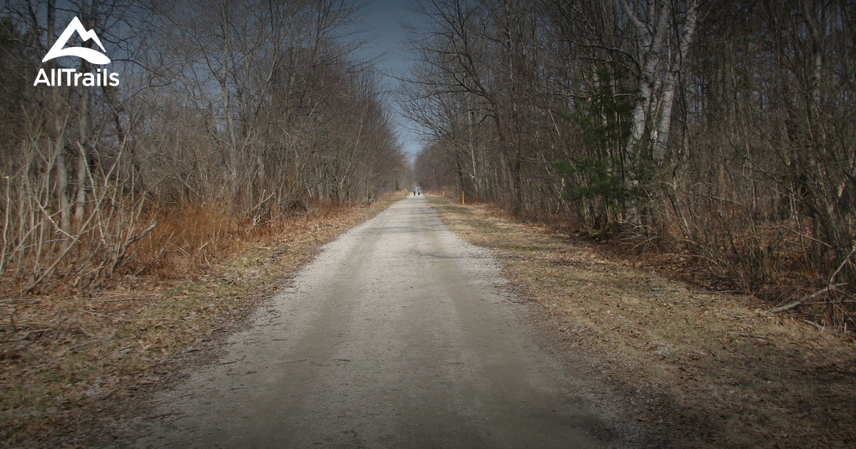 massabesic experimental forest