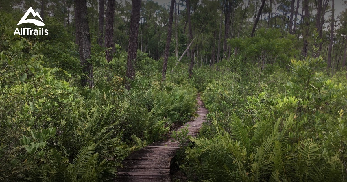 Best Trails in Ocala National Forest - Parks Us Florida Ocala National Forest 10151500 20180802094630 1200x630 3 41537924528