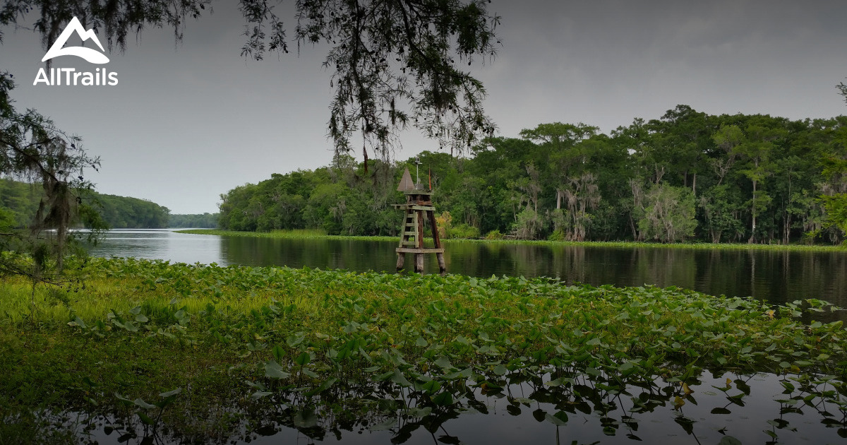 Best Trails in Ocala National Forest - Parks Us Florida Ocala National Forest 10151500 20200211124204000000000 1200x630 3 41581457442
