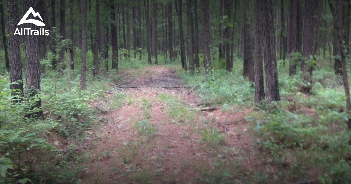 Best Trails in Bienville National Forest Mississippi AllTrails