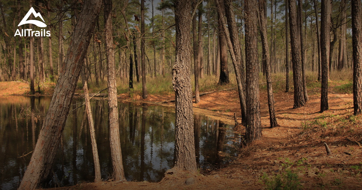 Best Trails in Sam Houston National - Parks Us Texas Sam Houston National Forest 10151553 20180802094631 1200x630 3 41537924911