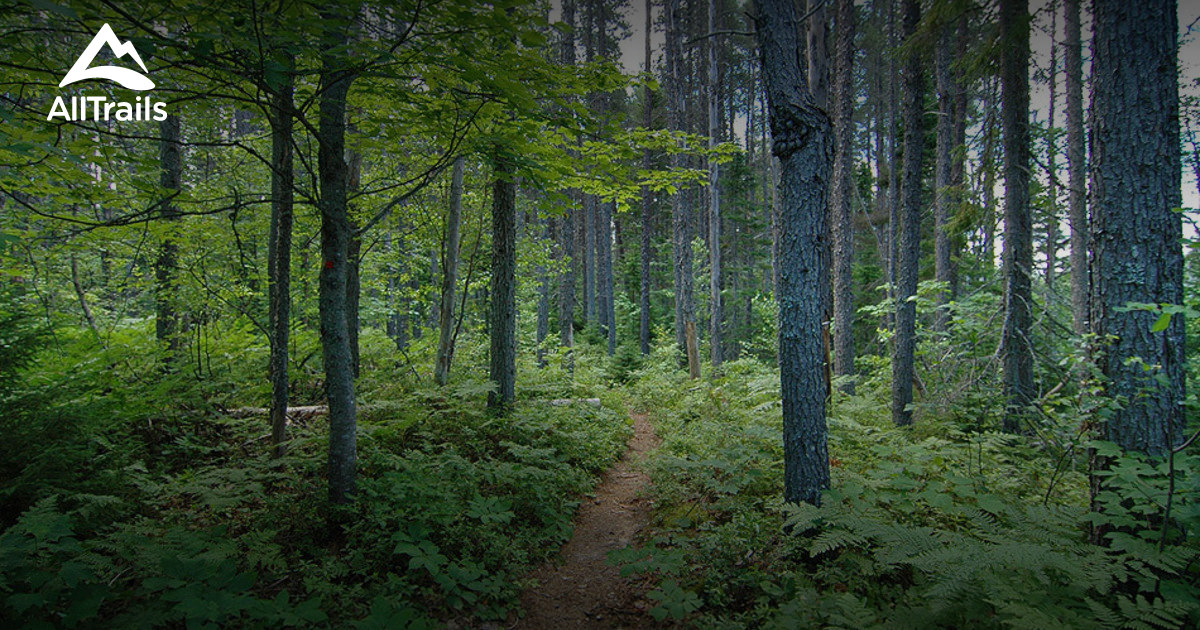 Best Trails in Kouchibouguac National Park Of Canada New Brunswick