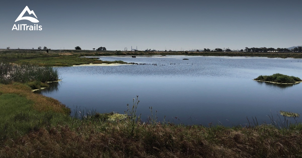 Best hikes and trails in Bay Point Regional Shoreline | AllTrails