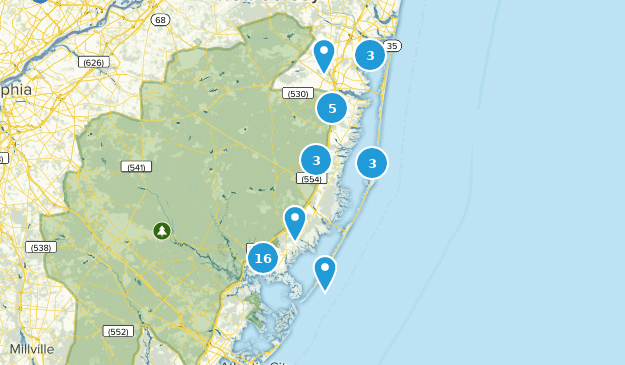 Best Trails in Edwin B Forsythe National Wildlife Refuge - New Jersey