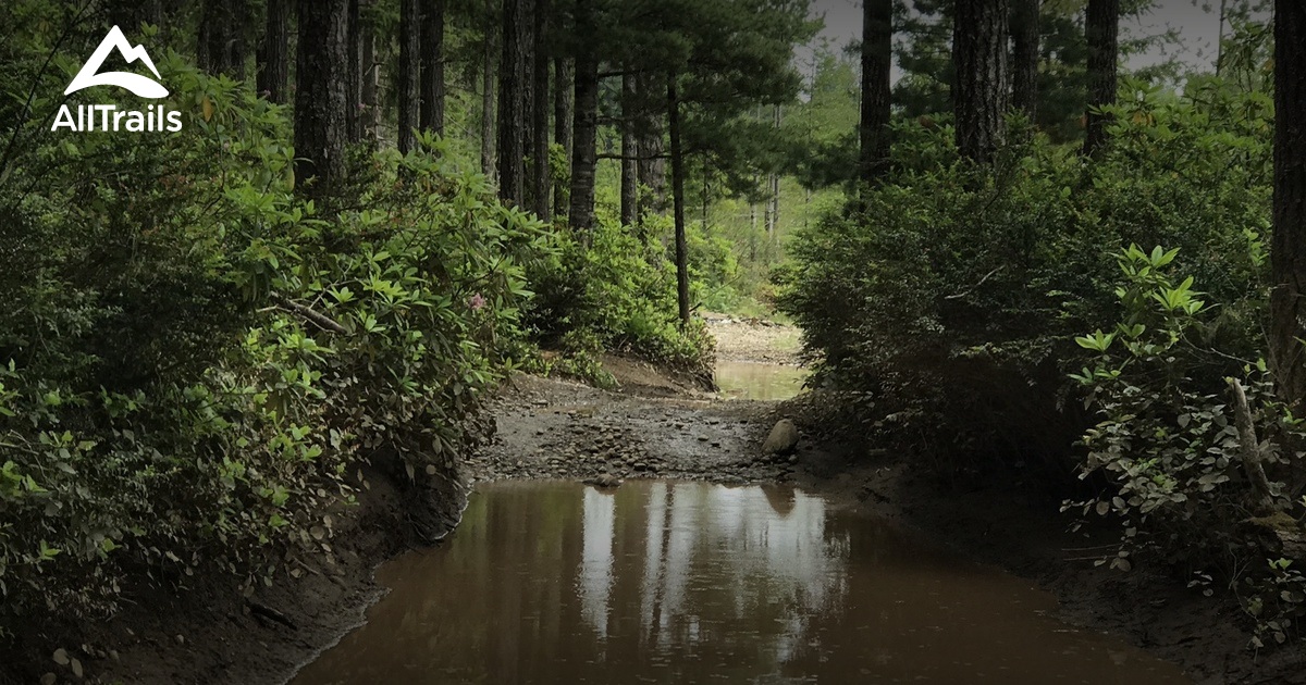 10 Best hikes and trails in Tahuya State Forest | AllTrails