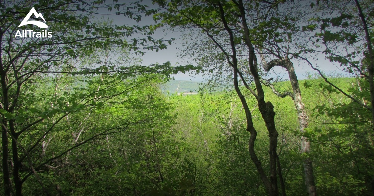 Best Trails in Nottawasaga Lookout Provincial Nature Preserve - Ontario