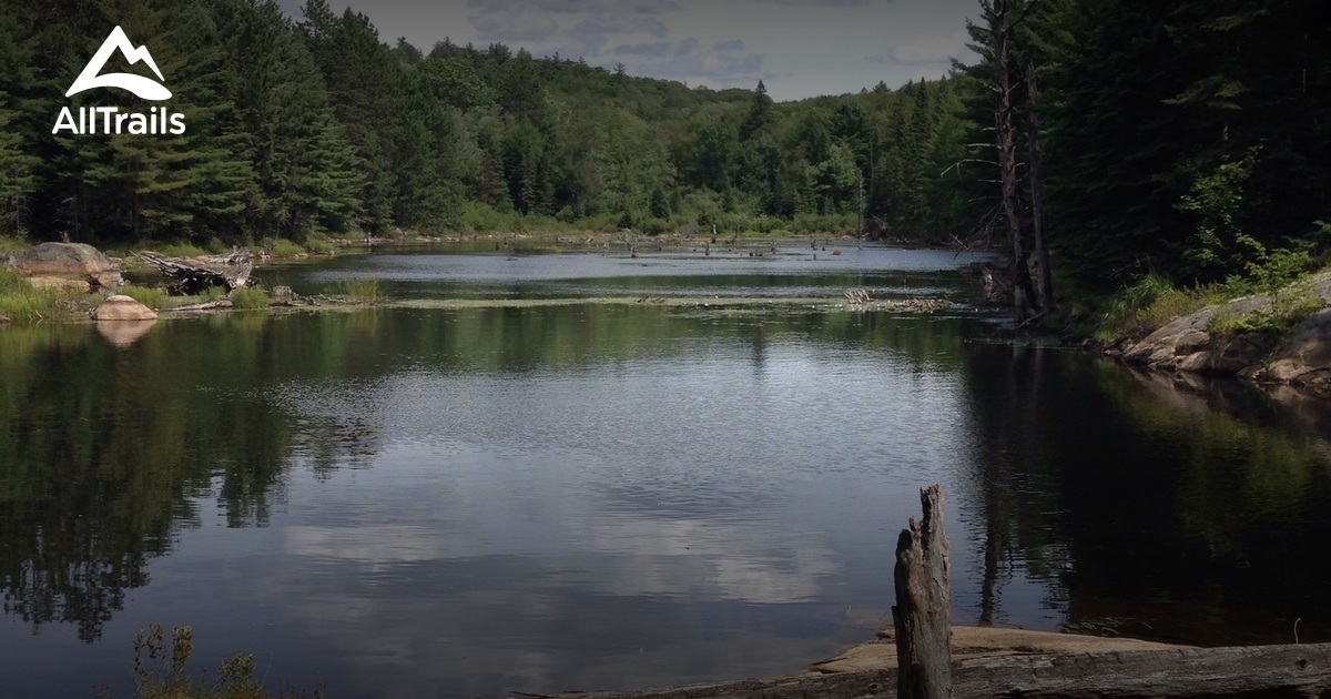 Best Trails in Algonquin Provincial Park - Ontario, Canada | AllTrails