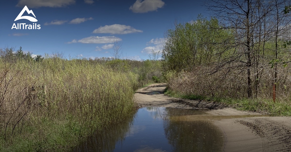 Best Bird Watching Trails in Maumee State Forest | AllTrails