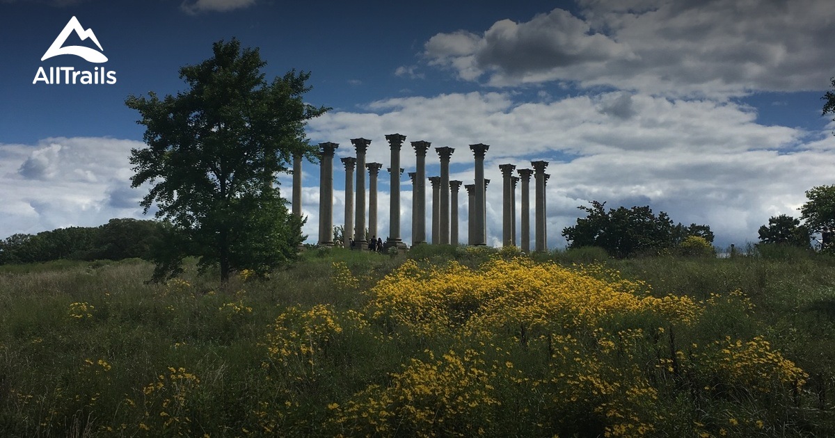 Best wildflower trails in National - Parks Us Washington Dc National Arboretum 10157825 20210310080331000000000 1200x630 3 41615417032