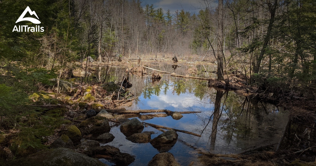 Best hikes and trails in Manchester Cedar Swamp Preserve AllTrails