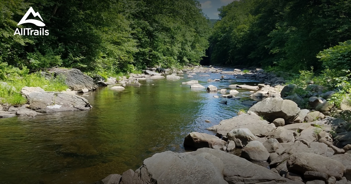 Best Trails in Walnut Hill Wildlife Management Area Massachusetts