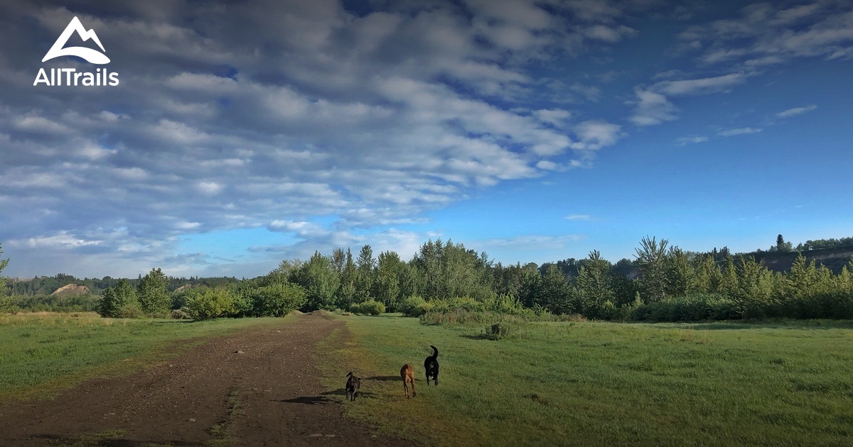 Best dogs on leash trails in Terwillegar Park AllTrails