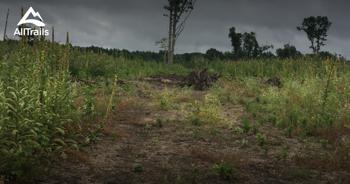 Best Trails in Lapeer State Game Area Michigan AllTrails