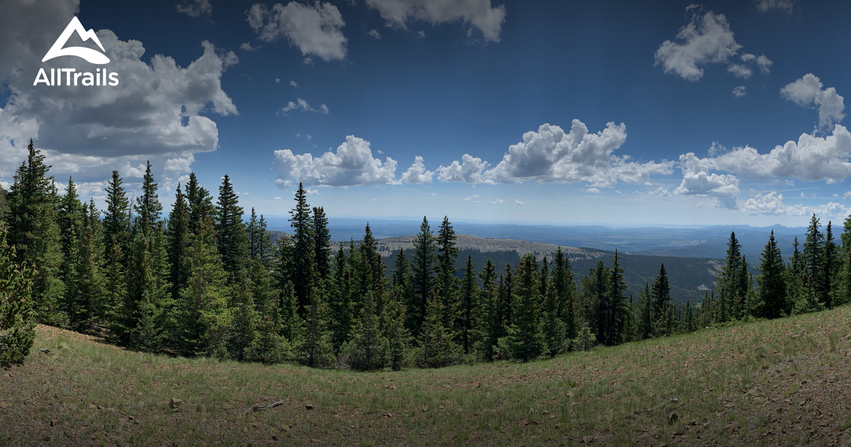 best-trails-in-valle-vidal-unit-new-mexico-alltrails