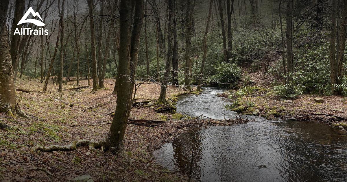 Best Trails in The Hook Natural Area Pennsylvania AllTrails