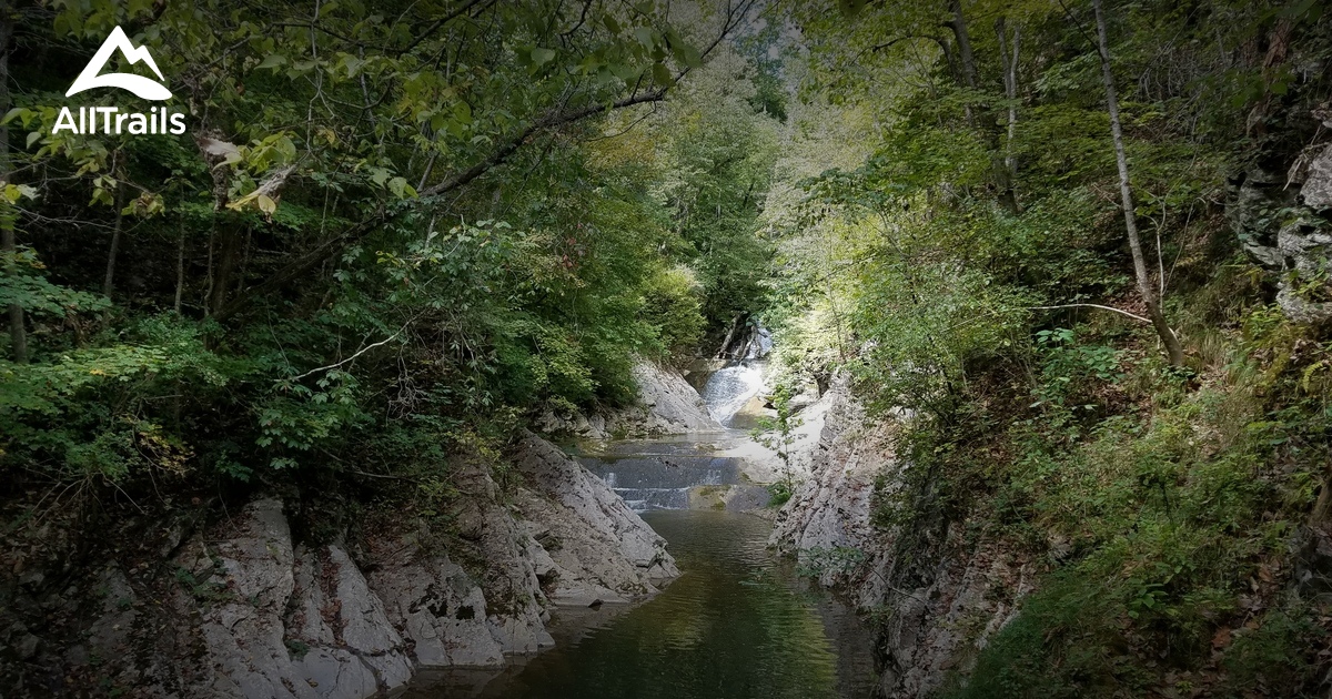 Best walking trails in Natural - Parks Us Virginia Natural Bridge State Park 10158648 20210119080153000000000 1200x630 3 41611074965