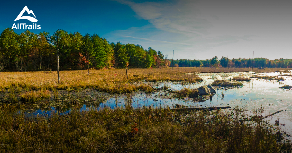 Best horse riding trails in Horse - Parks Us New Hampshire Horse Hill Nature Preserve 10158721 20210523080352000000000 1200x630 3 41621767679 