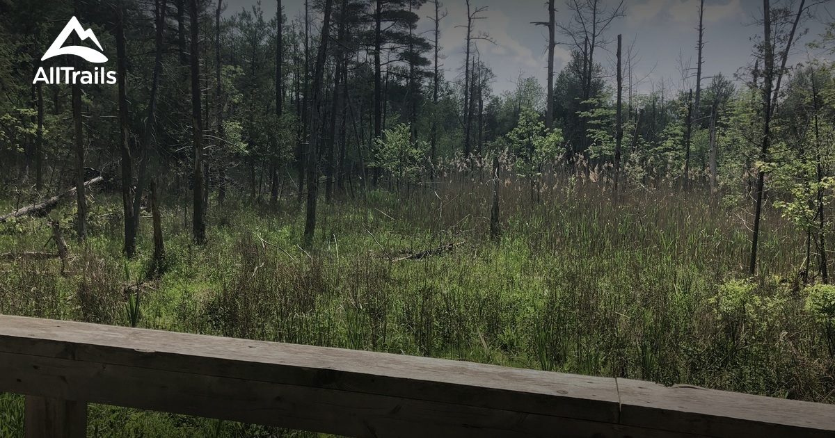 Best hikes and trails in Homer Watson Park AllTrails