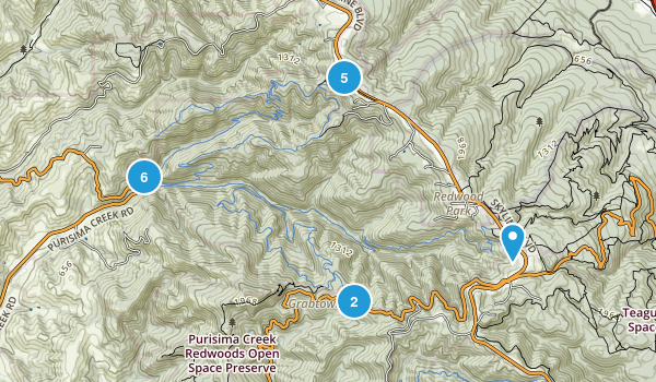 Best Trails in Purisima Creek Redwoods Open Space Preserve - California ...