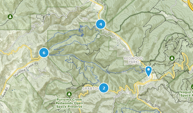 Best Trails in Purisima Creek Redwoods Open Space Preserve - California ...