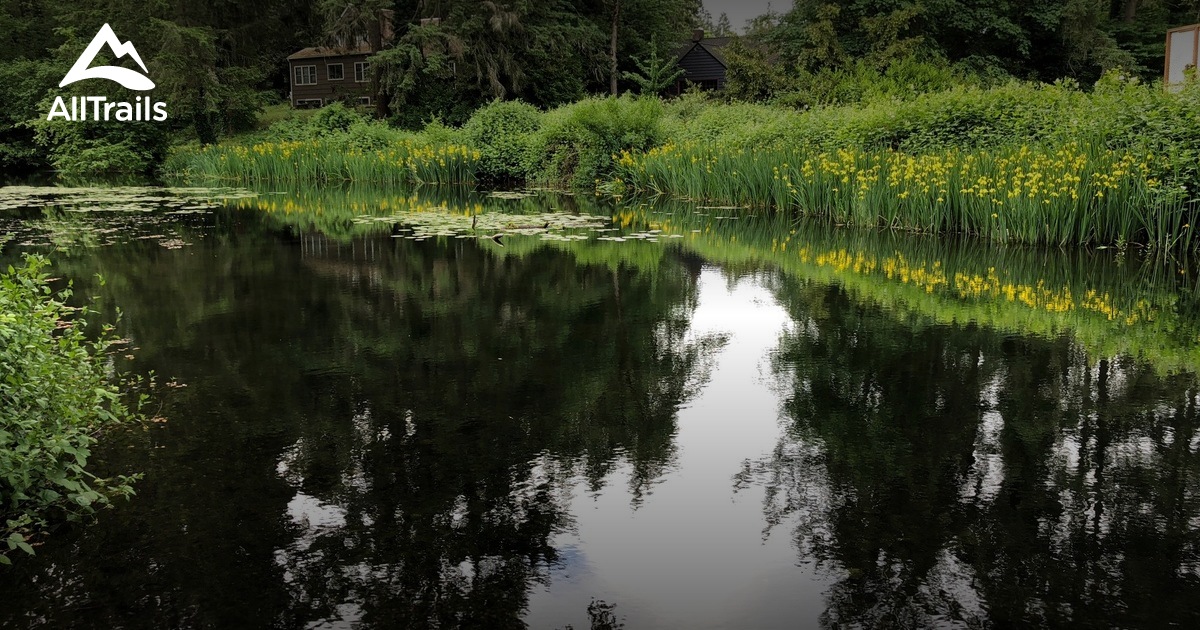 Best Trails in Bresemann Forest/Spanaway Park Washington AllTrails