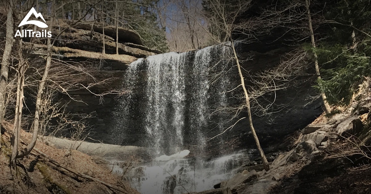 Best Trails in Hill State Forest New York AllTrails
