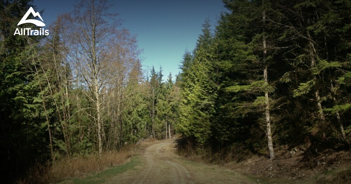 10 Best hikes and trails in UBC Malcolm Knapp Research Forest | AllTrails