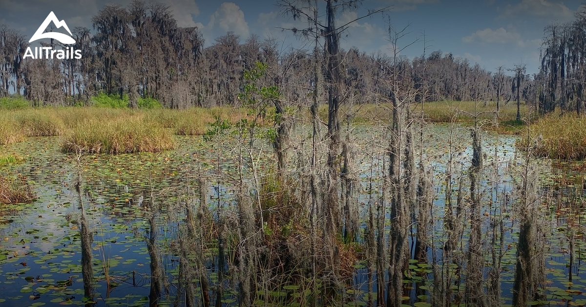 Best Trails in Tibet-Butler Preserve - Florida | AllTrails