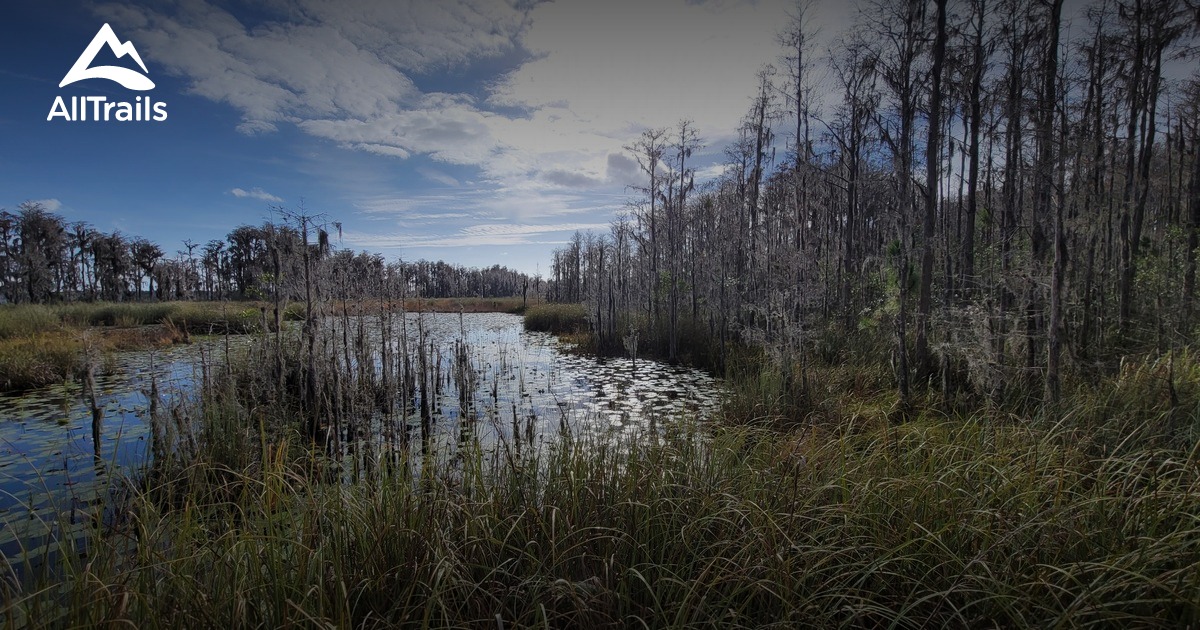 Best hikes and trails in Tibet-Butler Preserve | AllTrails