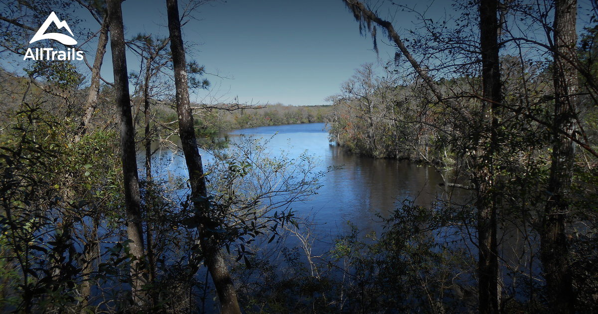 Best Hikes and Trails in Black Creek Ravines Conservation Area | AllTrails