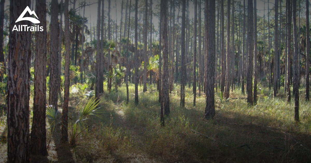 Best Trails in Herky Huffman Bull Creek Wildlife Management Area ...