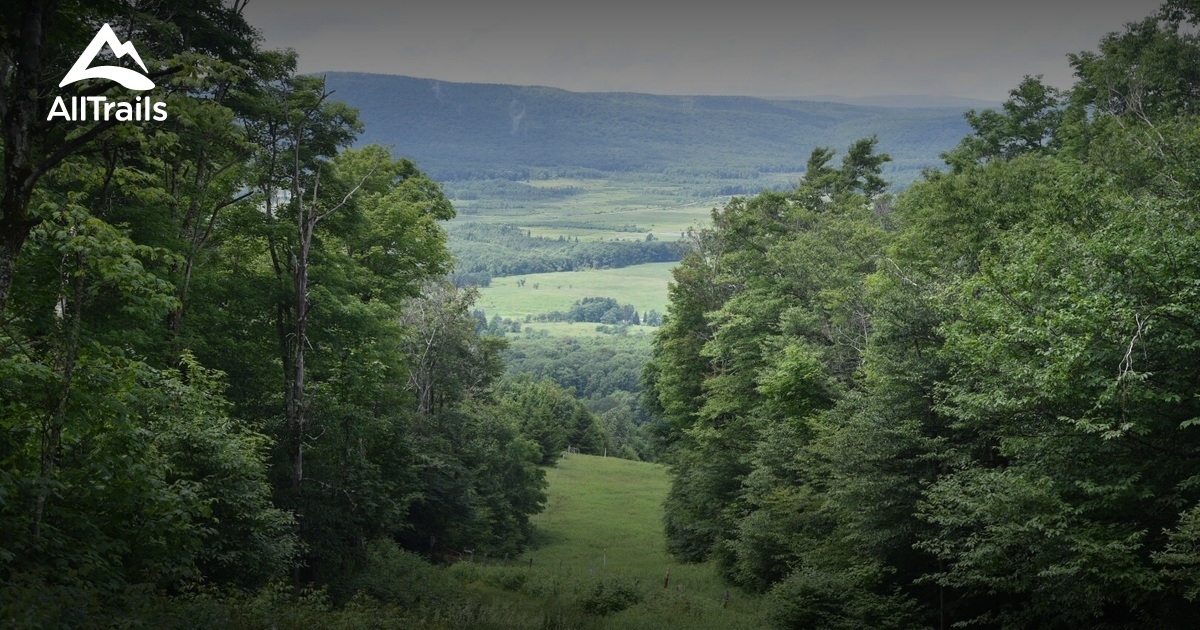 Best Trails in Canaan Valley State Park West Virginia AllTrails