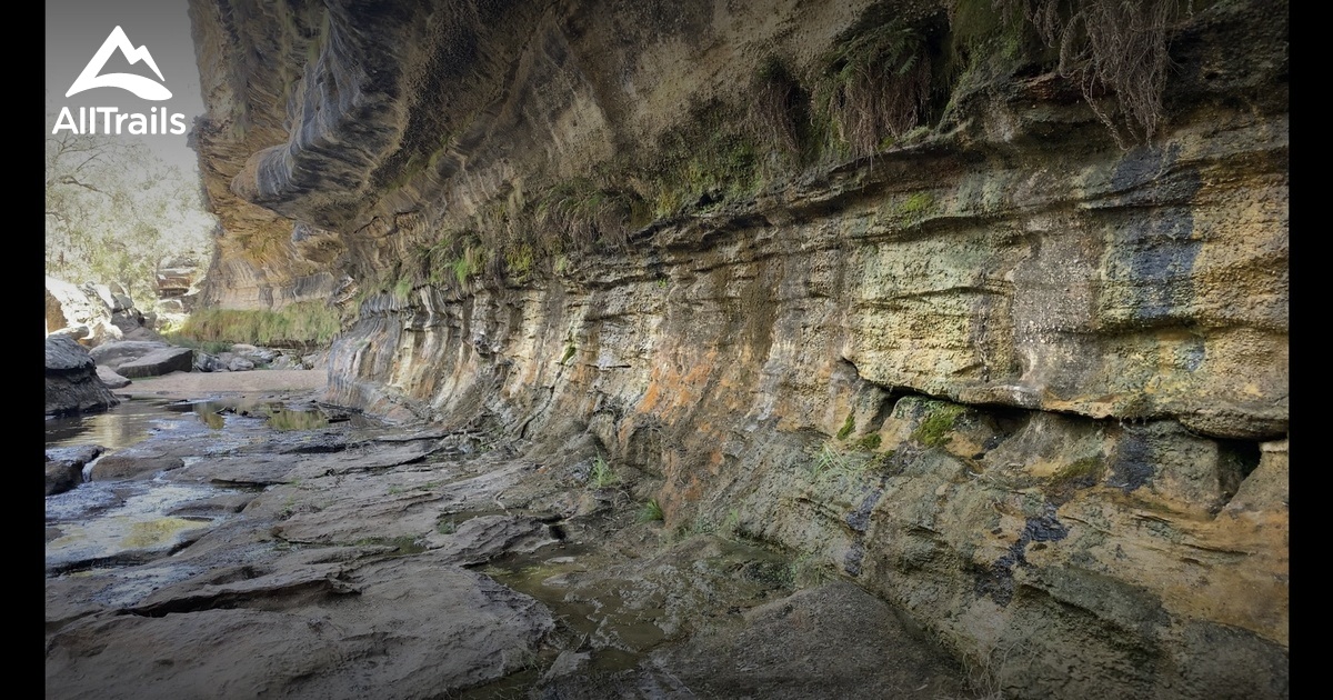 Best Trails in Goulburn River National Park New South Wales