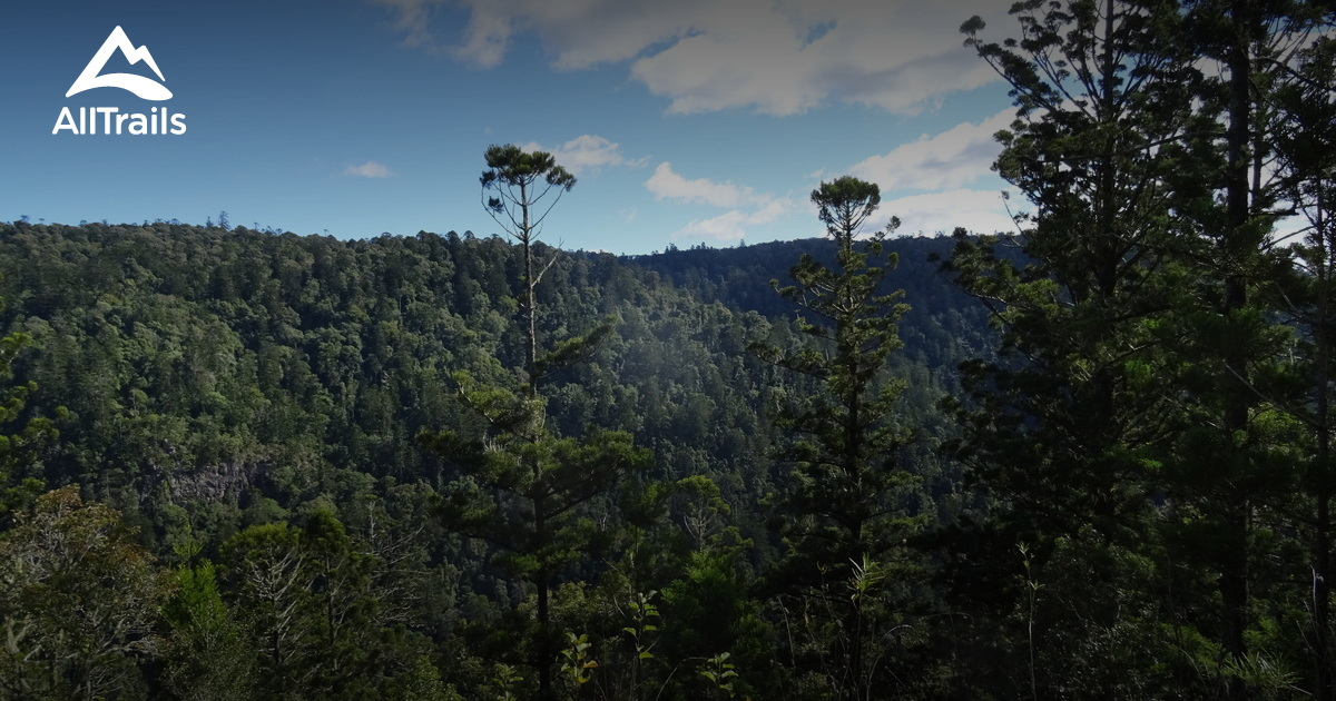 Best Trails in Bunya Mountains National Park - Queensland, Australia