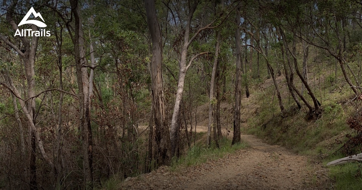 10 Best views trails in Nerang National Park | AllTrails