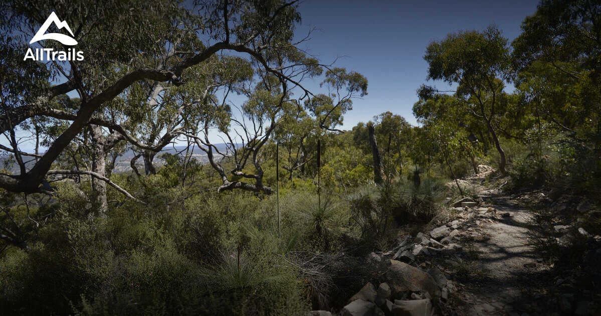 Best Trails in Mount Remarkable National Park South Australia