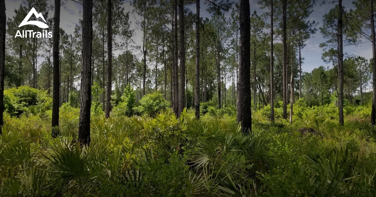 Best hikes and trails in Prairie Creek Reserve | AllTrails